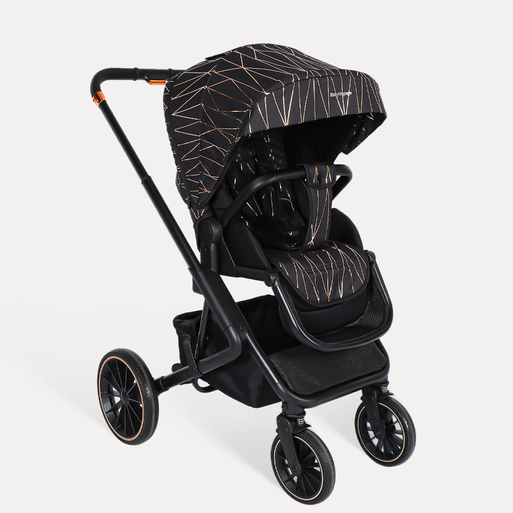 BabyVoyage 2 in 1 Baby Stroller