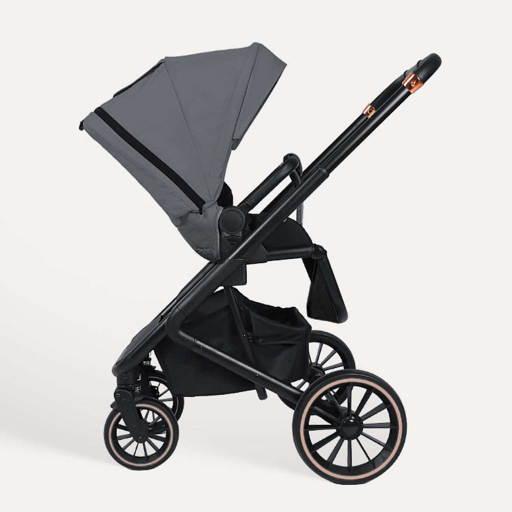 BabyVoyage 4-in-1 Baby Stroller