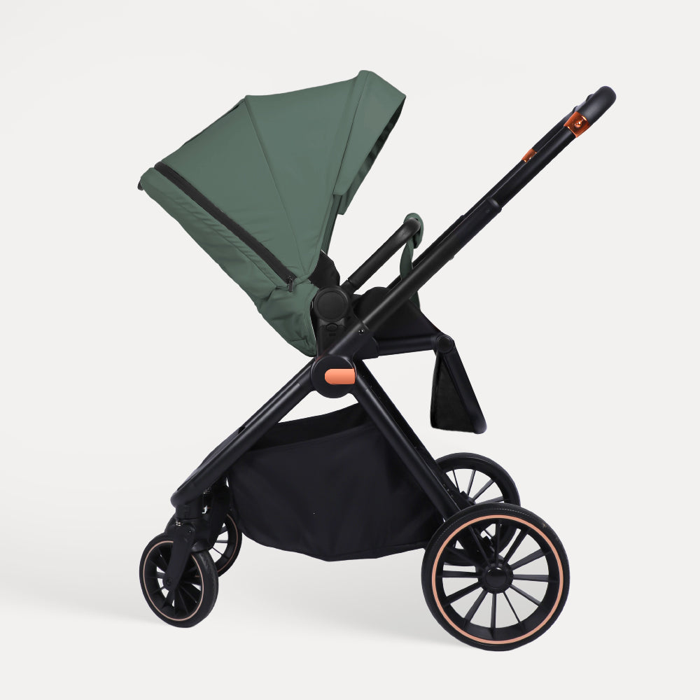 BabyVoyage Baby Travel System 4-in-1