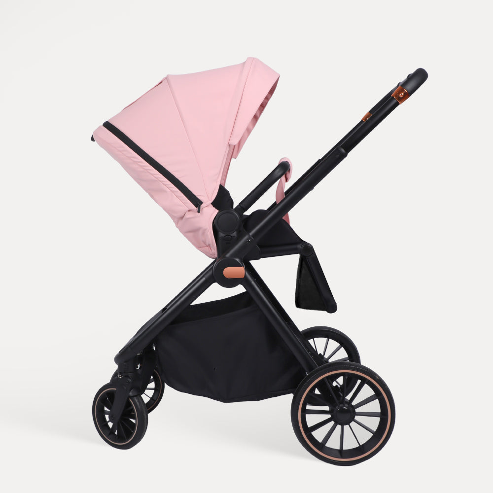 BabyVoyage 2-in-1-Baby Stroller