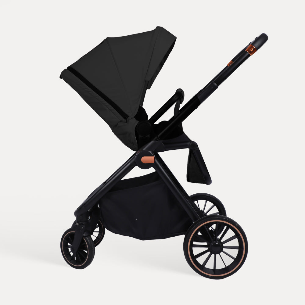 BabyVoyage 2-in-1 Baby Stroller