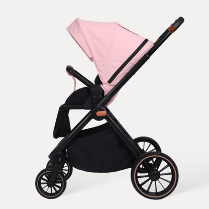 BabyVoyage 2-in-1-Baby Stroller