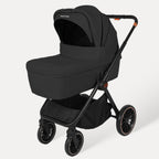 BabyVoyage 2-in-1 Baby Stroller