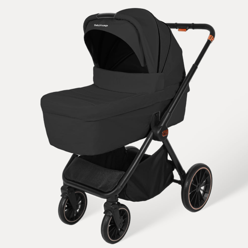 BabyVoyage 2-in-1 Baby Stroller