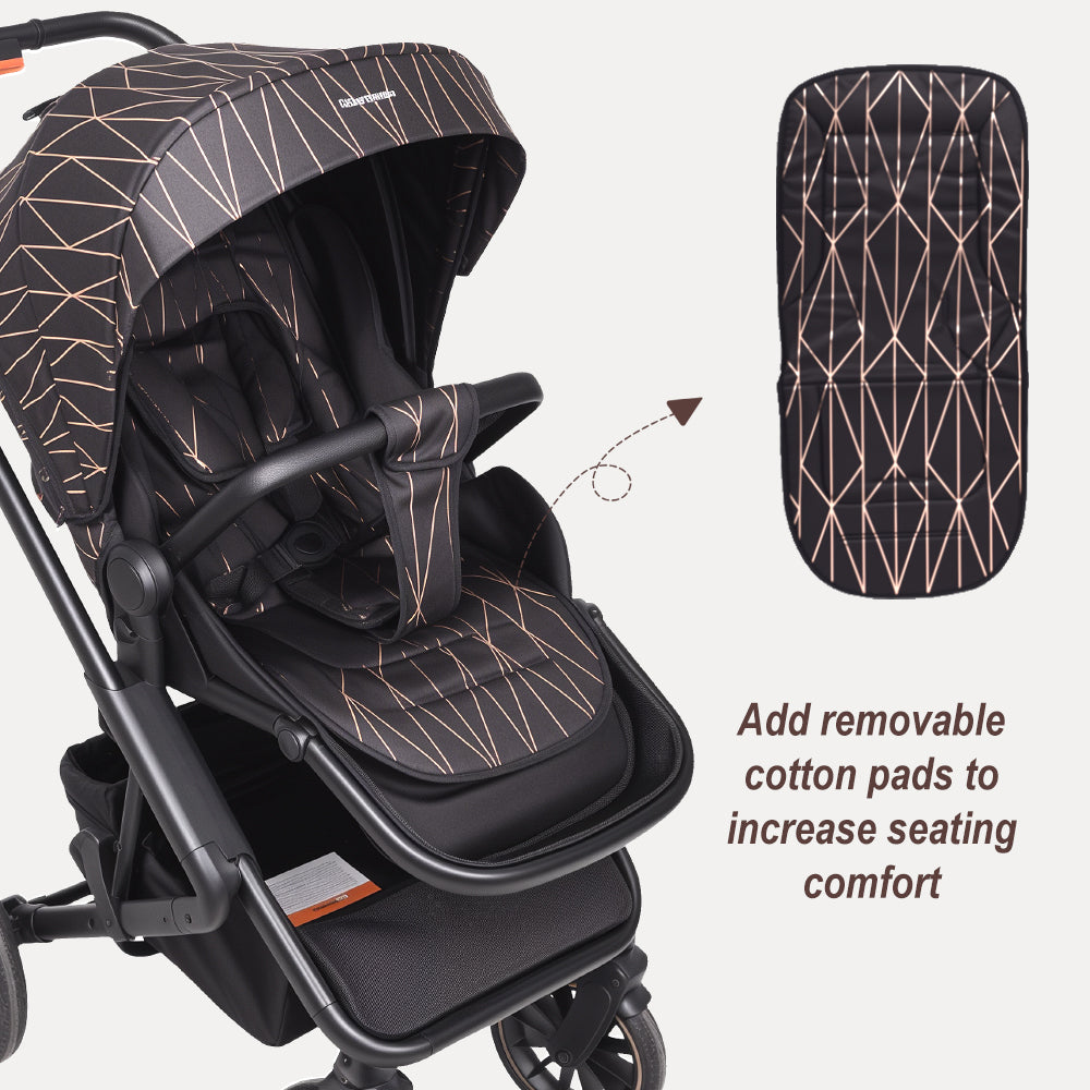 BabyVoyage 2 in 1 Baby Stroller