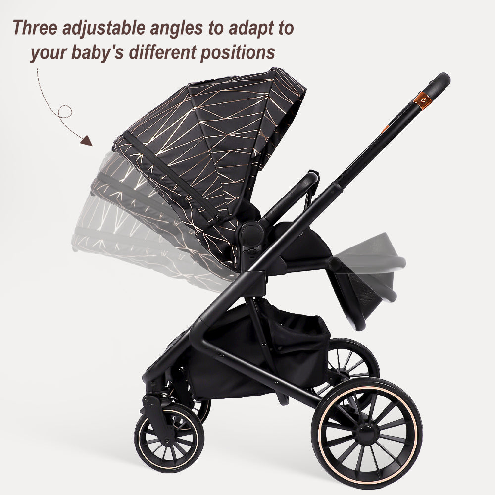 BabyVoyage 4-in-1 Baby Stroller