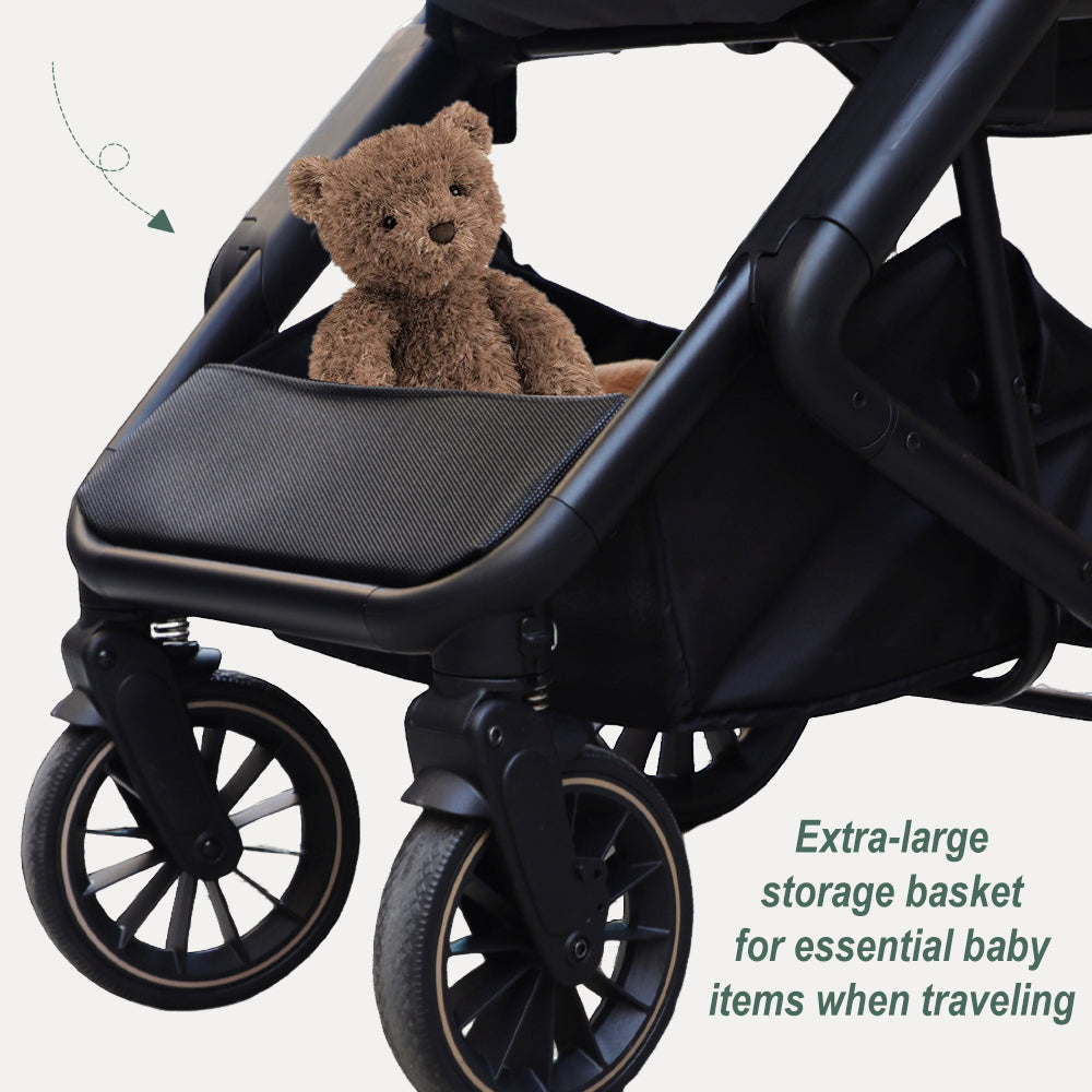 BabyVoyage 2-in-1-Baby Stroller