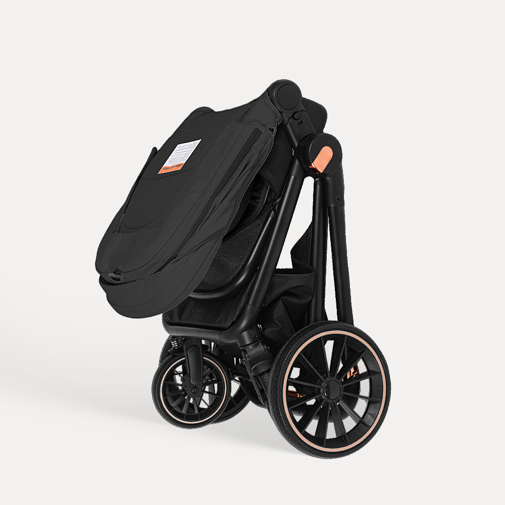 BabyVoyage 2-in-1 Baby Stroller