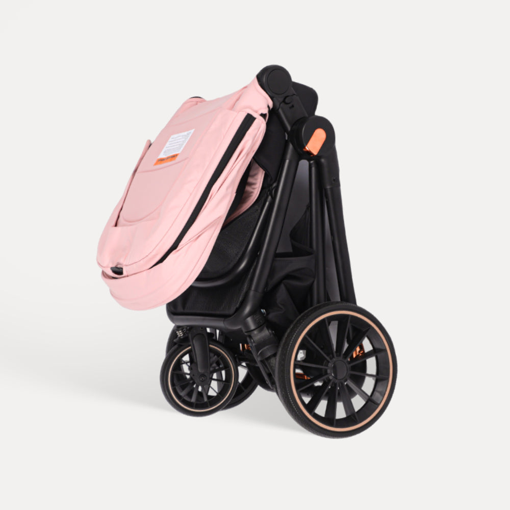 BabyVoyage 2-in-1-Baby Stroller