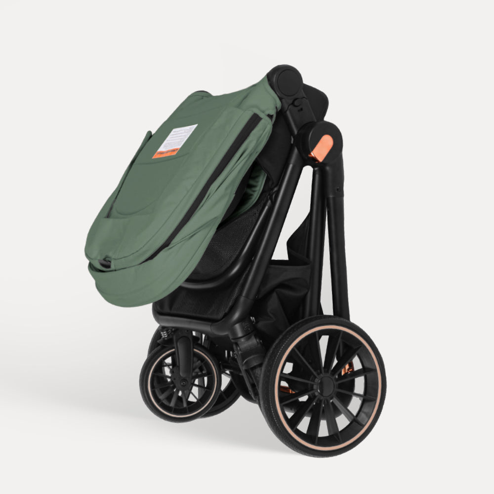 BabyVoyage 2-in-1-Baby Stroller